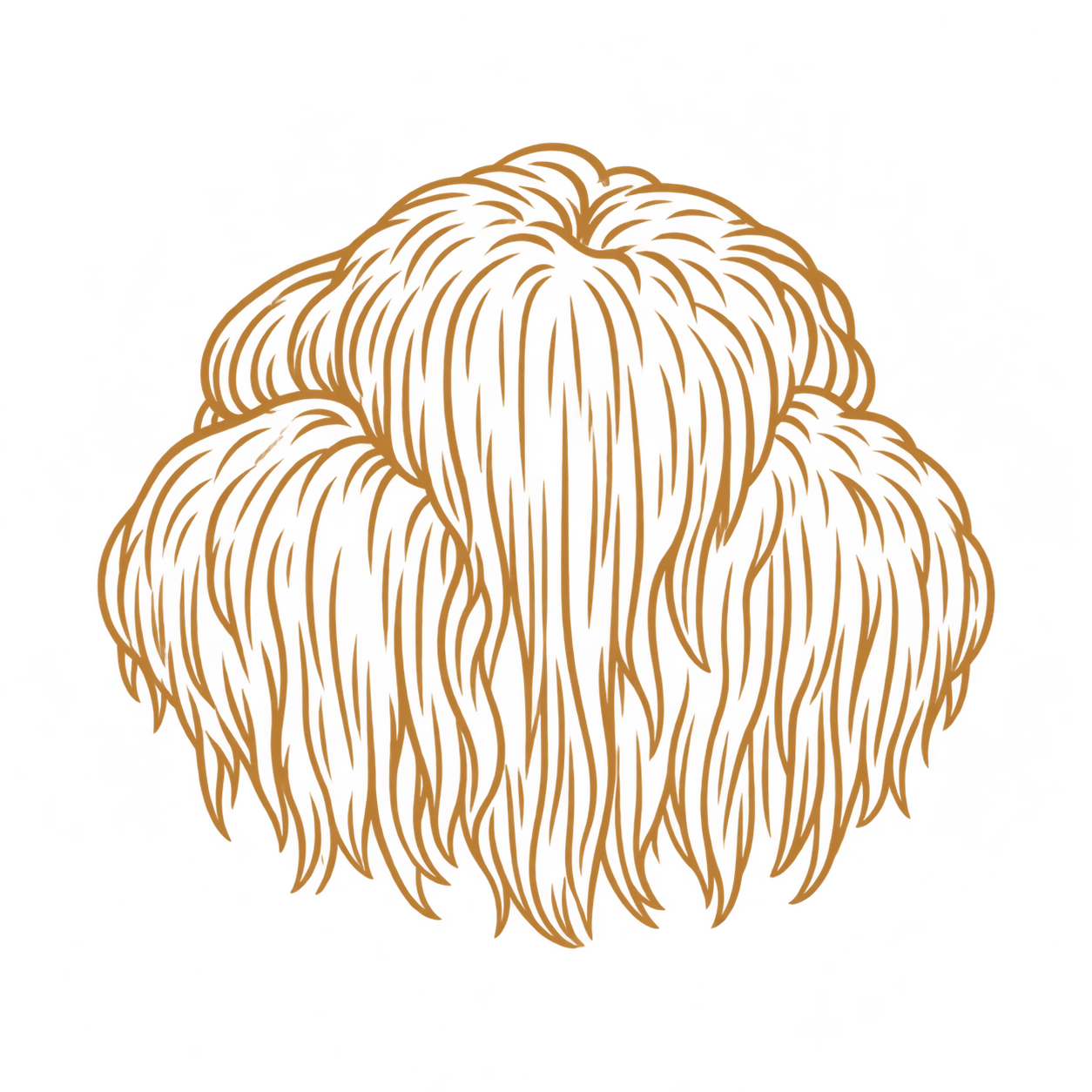 Lion's mane