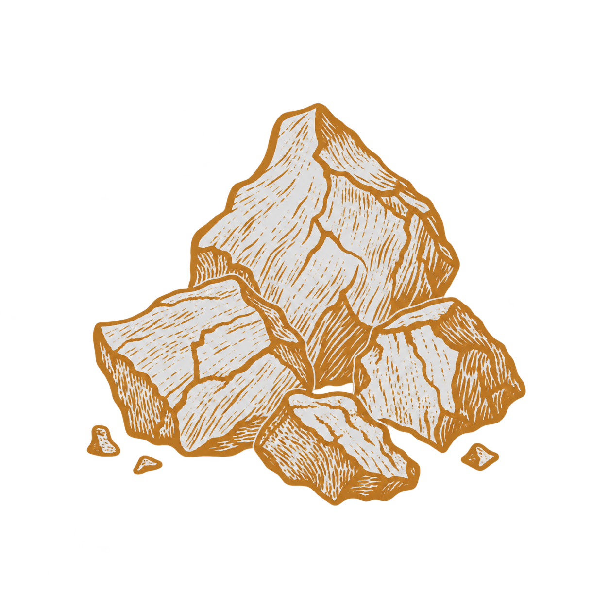 chaga